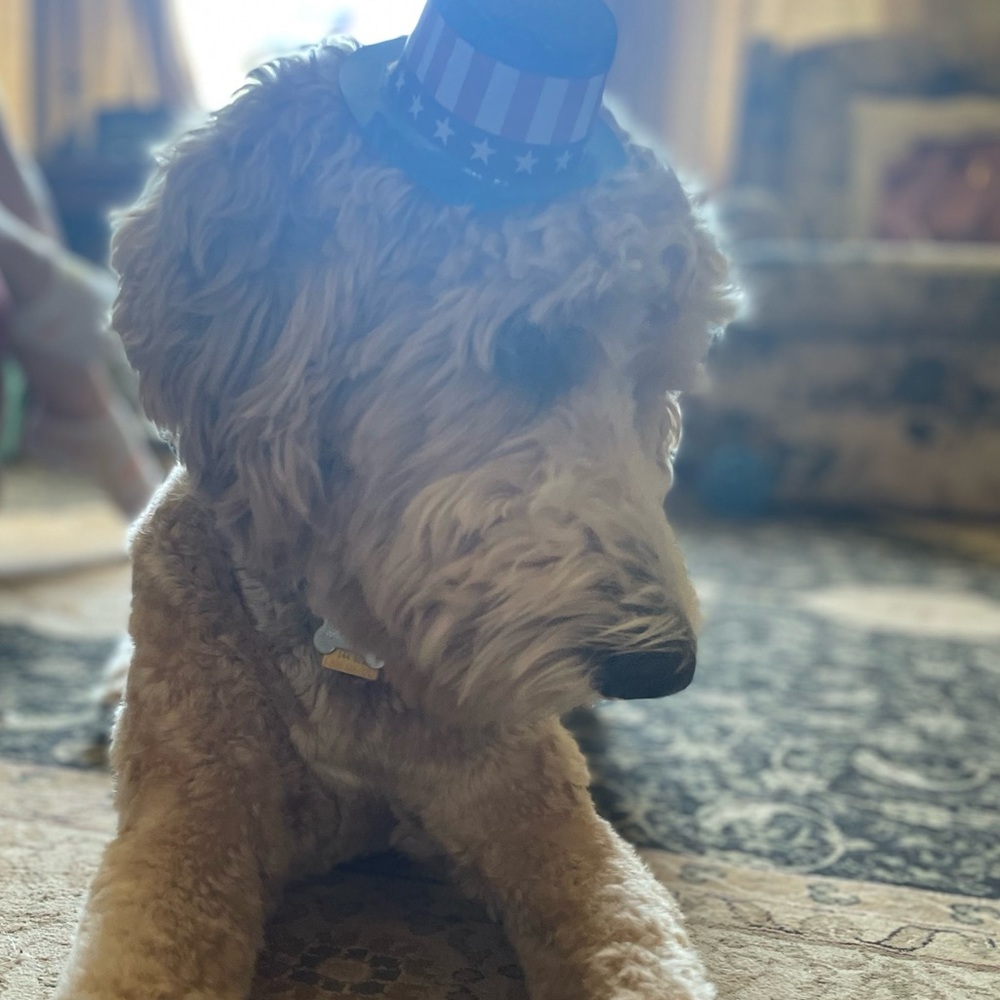 Meet your Posher, Meghan